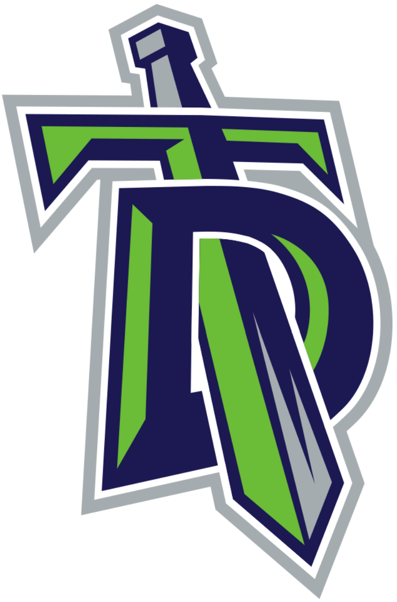 Danbury Titans 2015-Pres Primary Logo iron on transfers for clothing